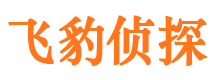 红桥外遇出轨调查取证